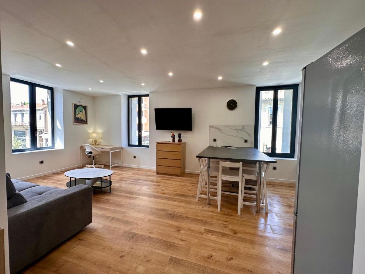 Les Appartements Du Palais 卡尔卡松 外观 照片