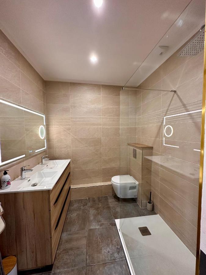 Les Appartements Du Palais 卡尔卡松 外观 照片