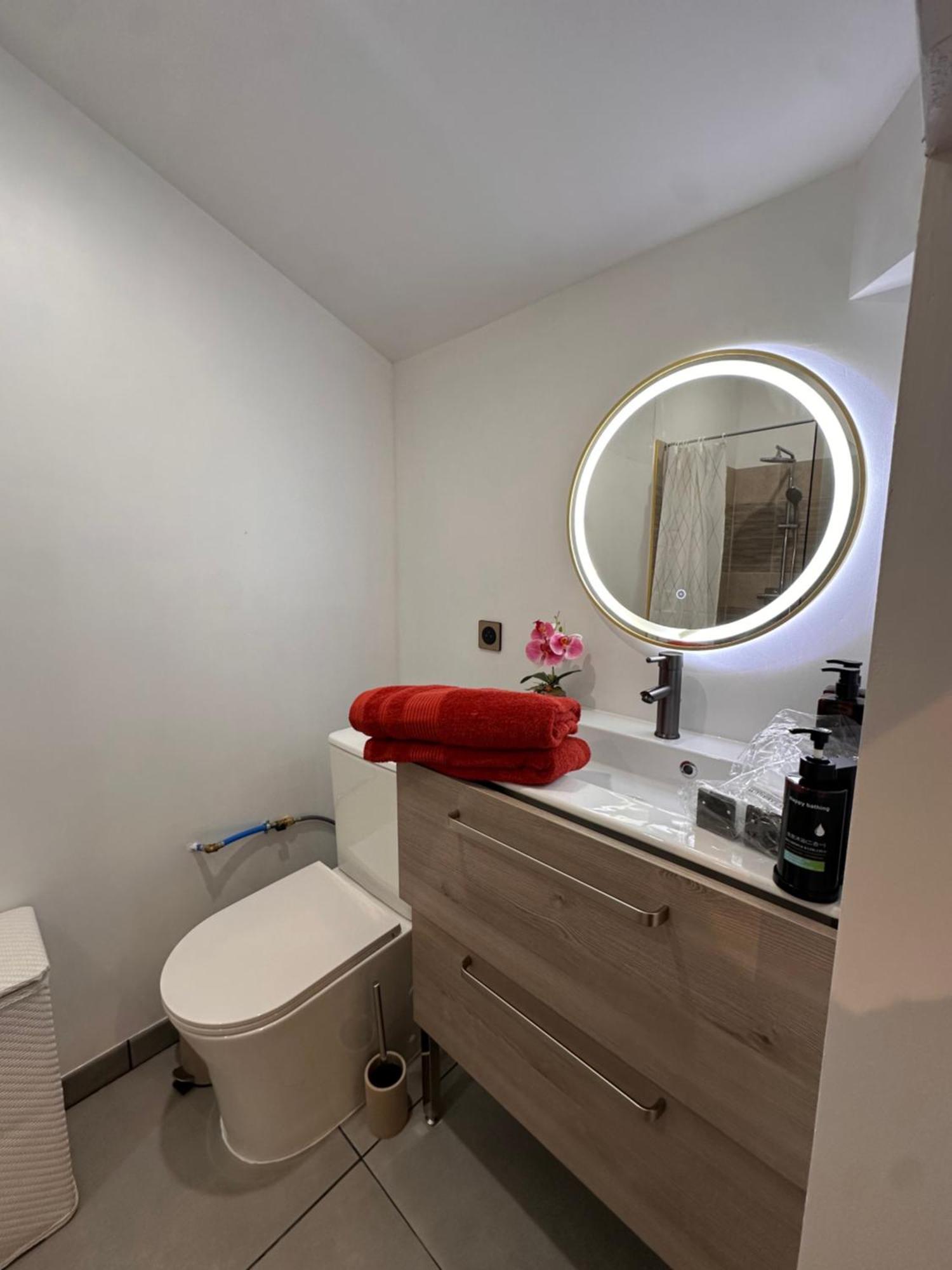 Les Appartements Du Palais 卡尔卡松 外观 照片