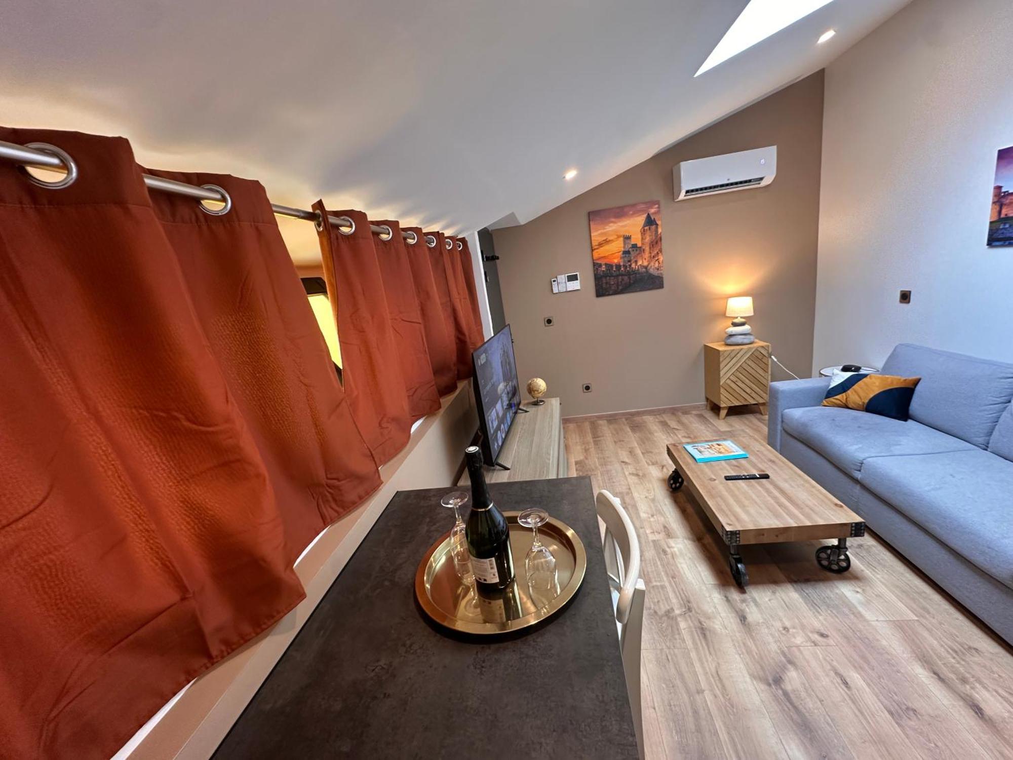 Les Appartements Du Palais 卡尔卡松 外观 照片